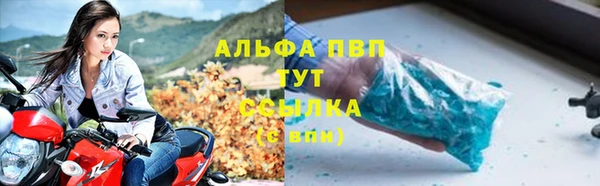 дмт Абаза
