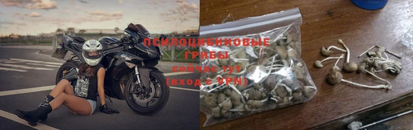 тгк Абинск