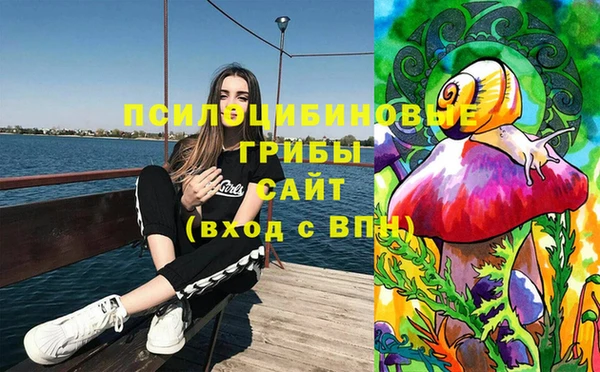дмт Абаза