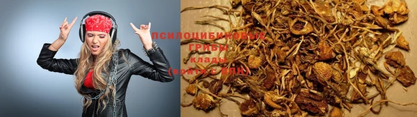 дмт Абаза